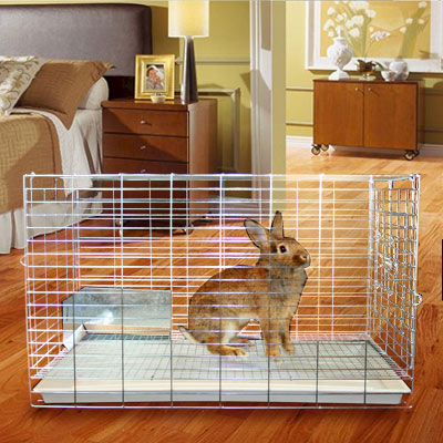 galvanized rabbit cages
